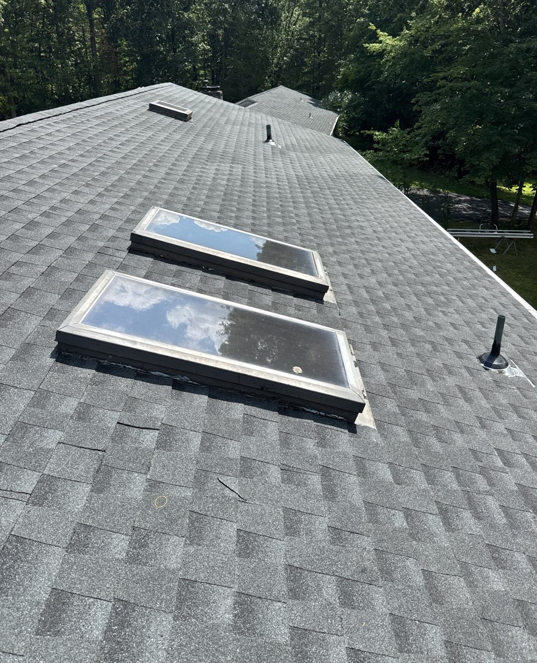 Roof with skylights and surrounding trees.