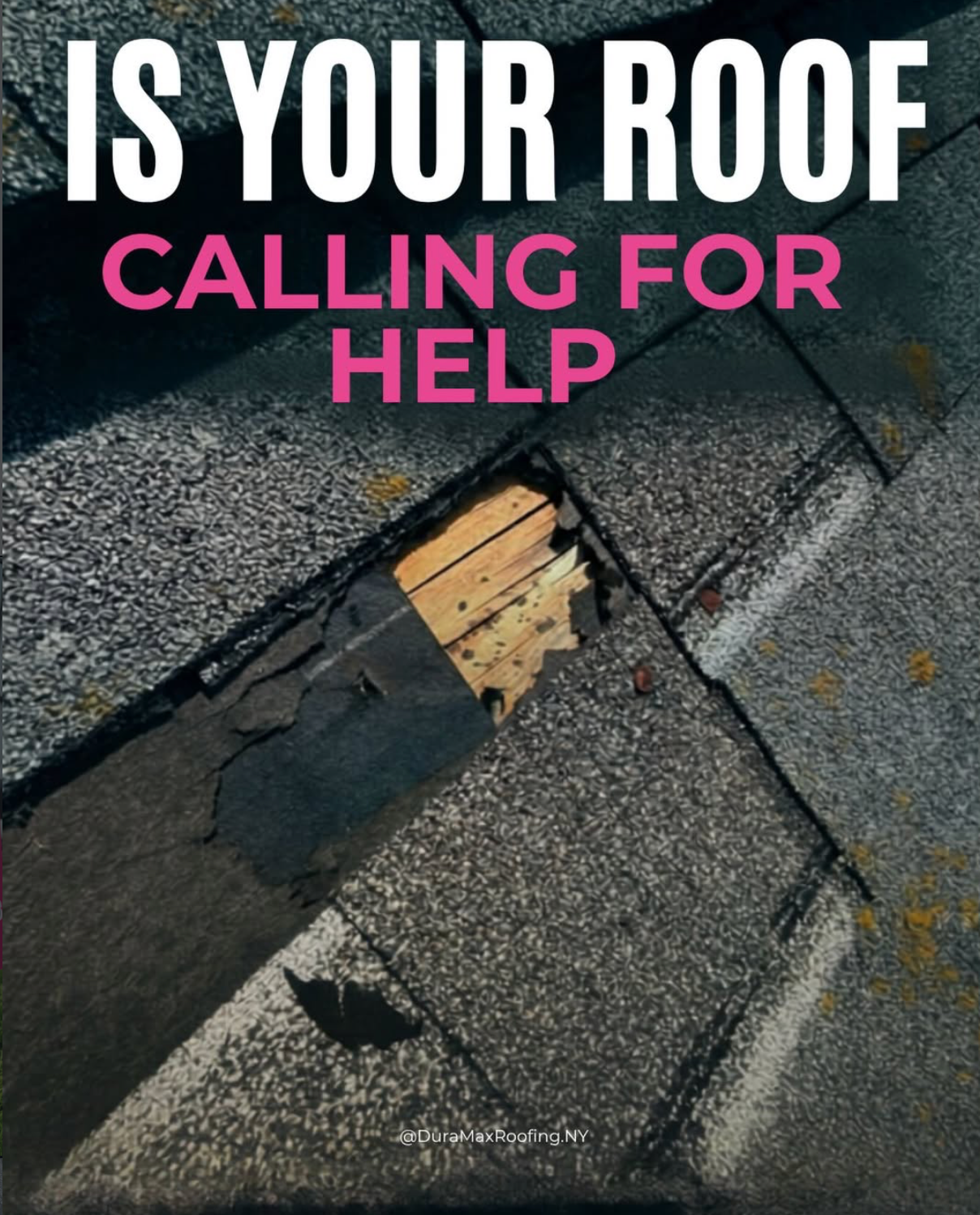 Eye-catching roofing graphic with a playful callout